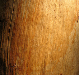 Naklejka premium Wood Background 2