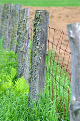 Fototapeta premium Old wood post