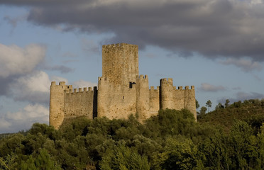 Fototapeta na wymiar Castelo de Almourol