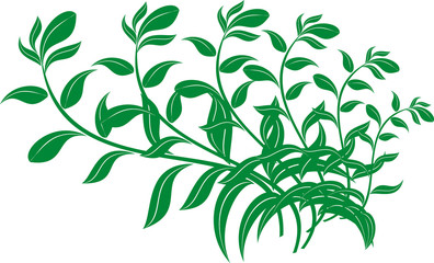 abstract calligraphy