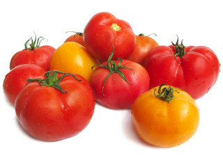Tomatoes on white background