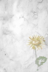 marle flower paper