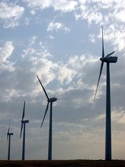 molinos de viento