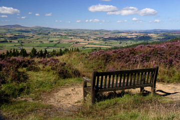 Views of Simonside