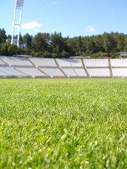 Empty soccer stadium