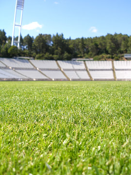 Empty soccer stadium