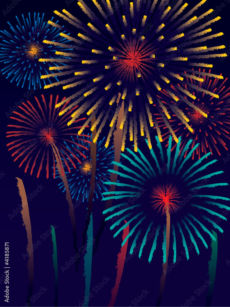 Canvas Prints Fireworks