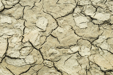 Close-up of dried ground during drought