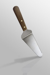 cake server