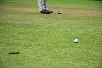 Golf putt on the green