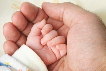 Baby hand in father's palm