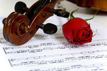 Fototapeta premium Violin, rose and sheet music