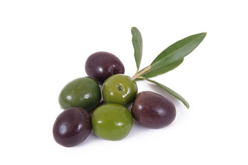 olive 52