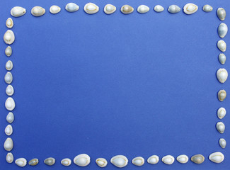 cadre de coquillage