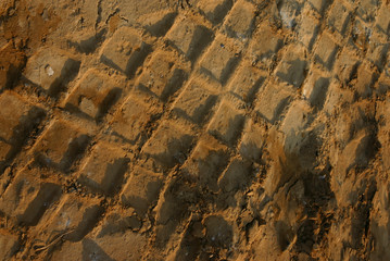 tyre tracks in dirt