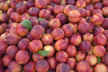 Plums