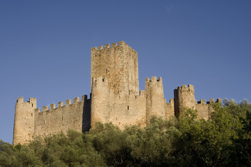 Fototapeta na wymiar Almourol Castle