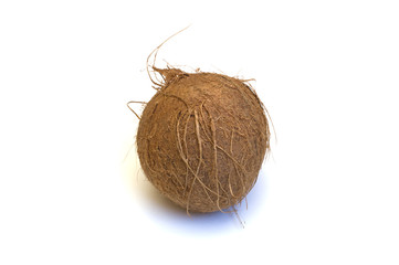 Coconut isolated on white background