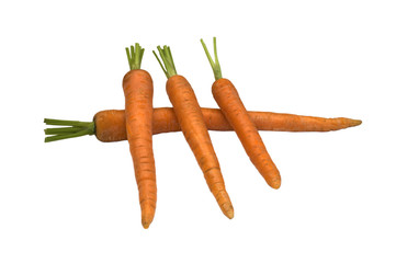 Fresh carrots isolated on white