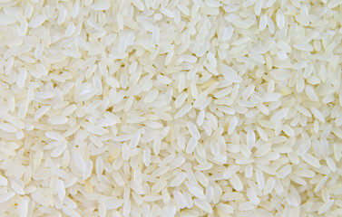 Rice groats