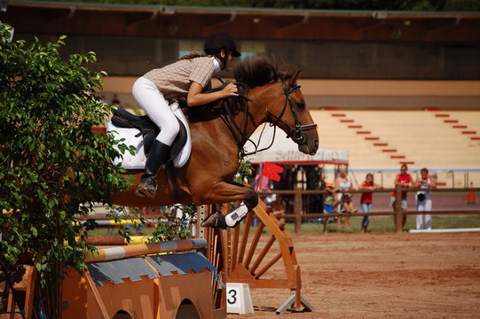 hop hop