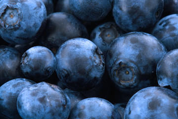 blueberries
