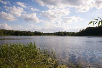 Paceful lake inside forest