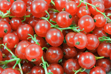 Red currants