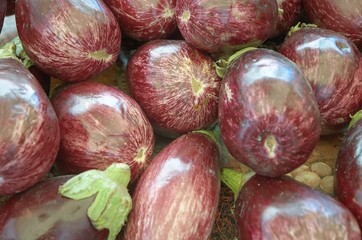 les aubergines