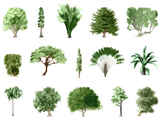 Painted color trees collection #6, isolated