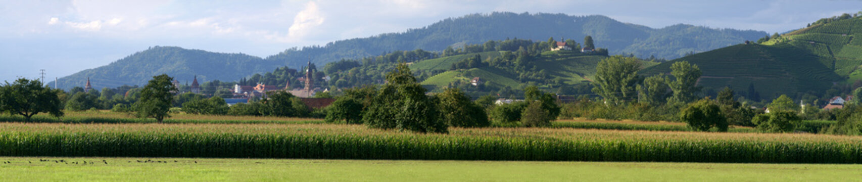 Schwarzwald-Kinzigtal