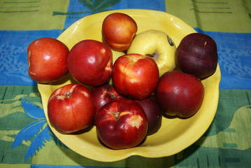 SONY DSC