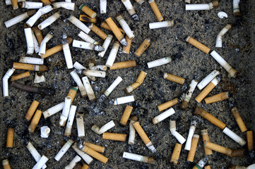 Cigarette butts in quantity