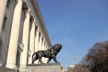 lion statue in front