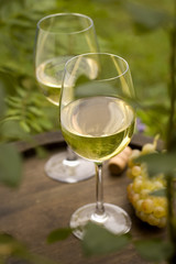 wine