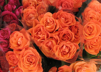 Bouquets of orange roses
