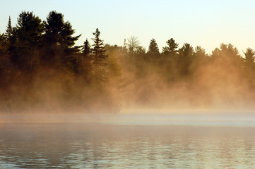 Obraz na płótnie Canvas Foggy sunrise