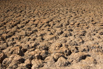 a dry and barren lake bed in the middle of the drought