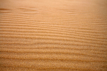 Fototapeta na wymiar dune pattern