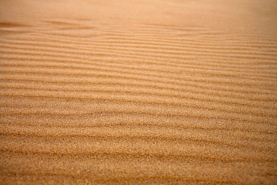 dune pattern