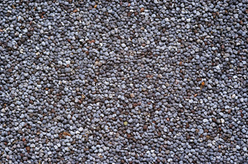 poppy seeds