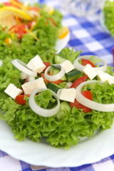 Vegetarian Appetizer