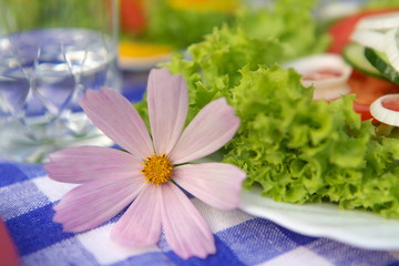 Fototapeta na wymiar Vegetarian Appetizer And Flower