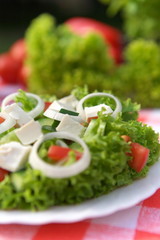 Vegetable Salad