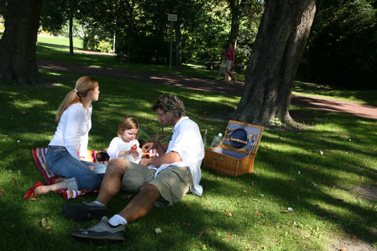 famille picnic