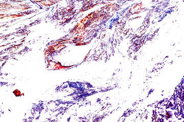 Dry wood texture abstract