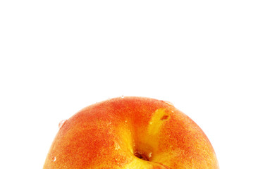 peach with drops. copyspace