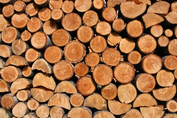 Firewood