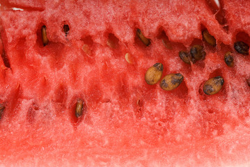 water-melon 5