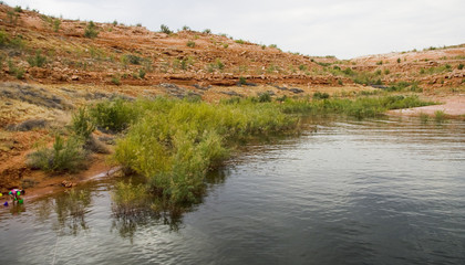 Lake Powell Cove Landscape